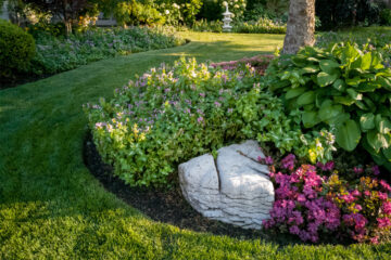 Professional Landscape Design & Installation